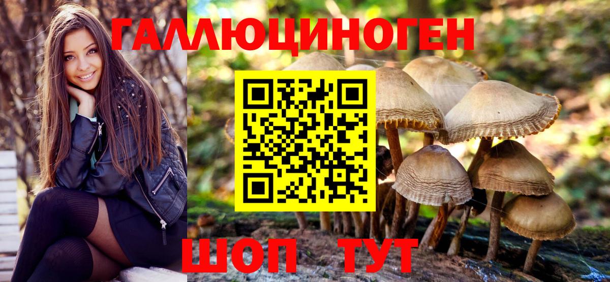 Галлюциногенные грибы прущие грибы  Галлюциногенные грибы прущие грибы  Вход с VPN  Салехард 