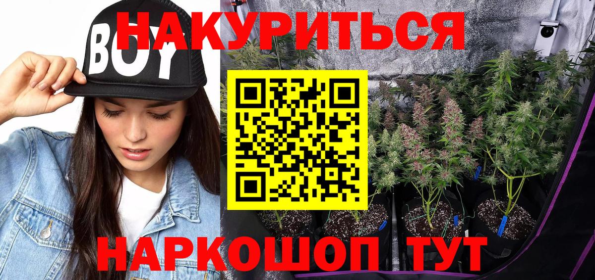 Шишки марихуана сатива Салехард
